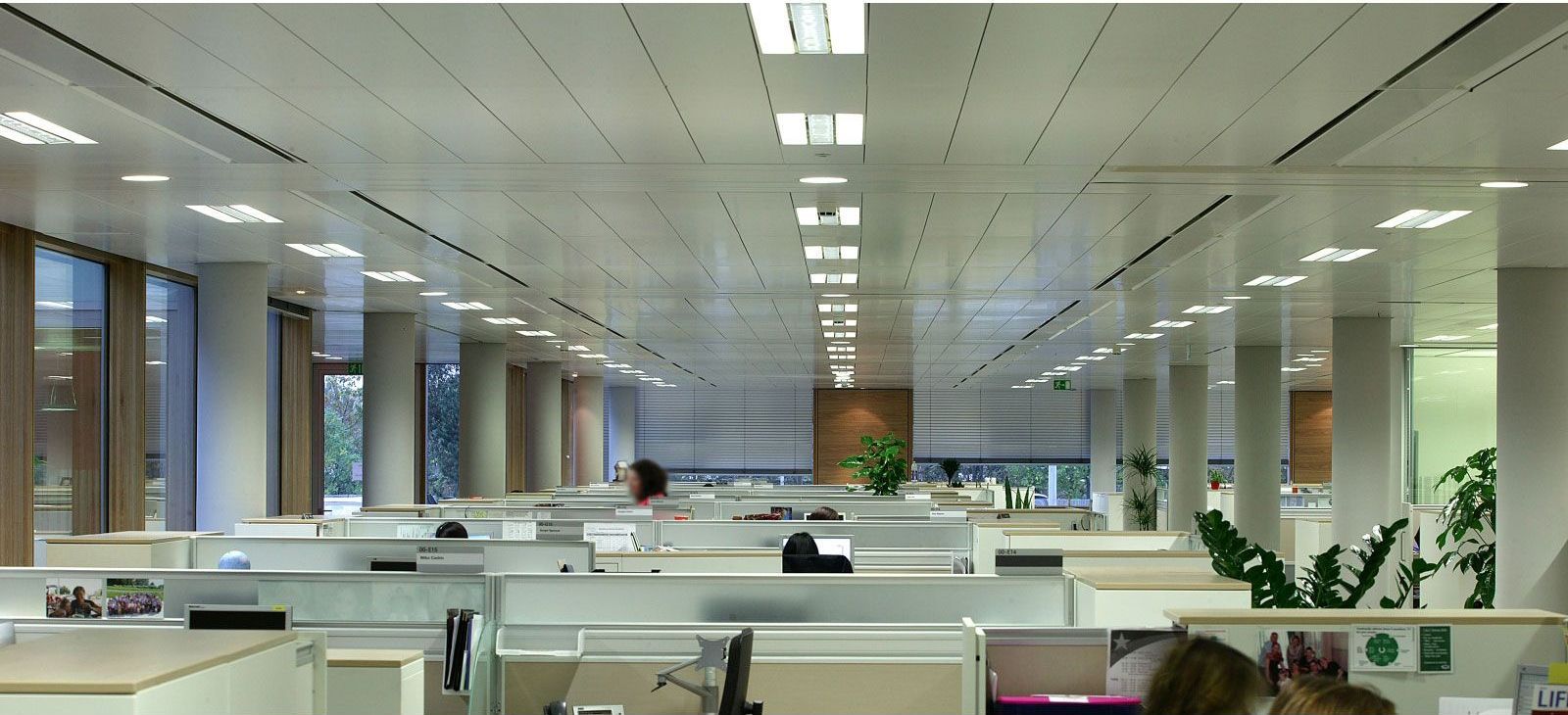 Roche Headquarters