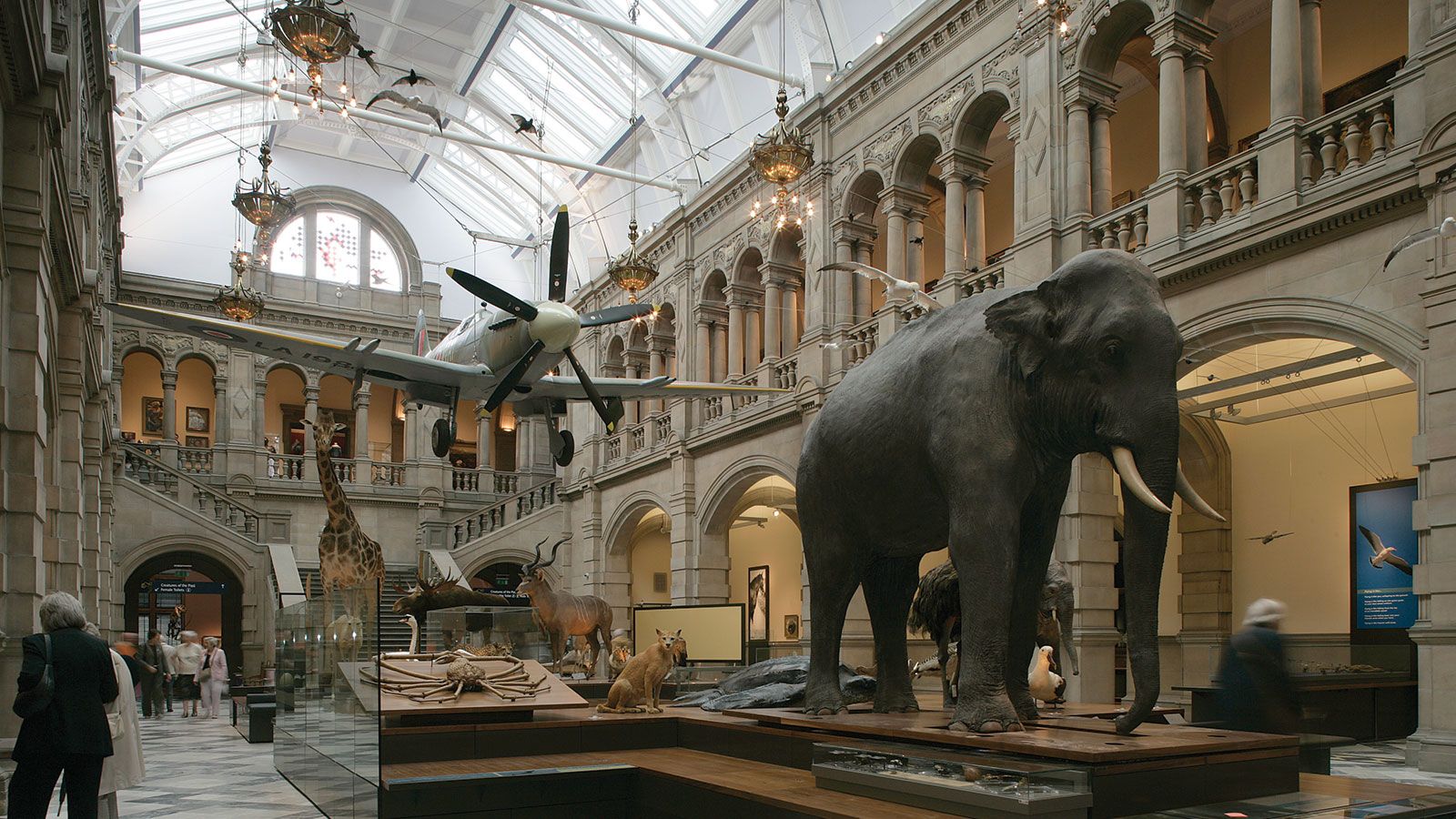 Kelvingrove Art Gallery and Museum