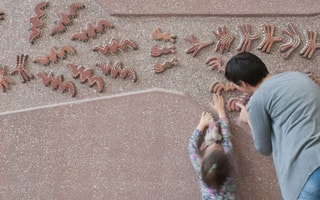Alder Hey Children's Artwork