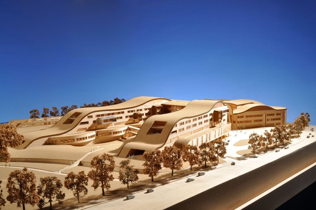 Alder Hey model