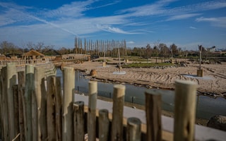 Chester Zoo's Heart of Africa