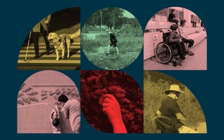 Design for Inclusion