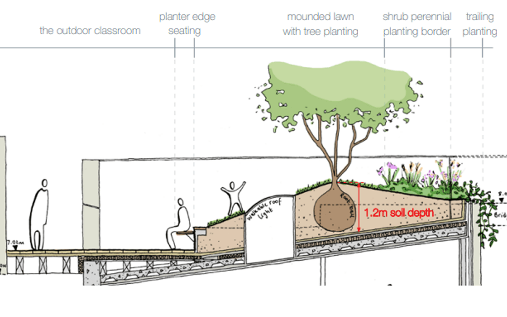Francis Holland School Cross Section