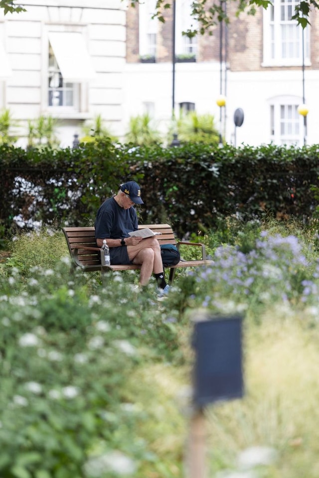 Grosvenor Square Gardens