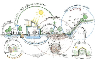 Harrington Landscape