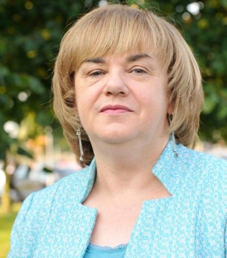 Joan Martin, Chief Executive, Louth County Council image for a project quote