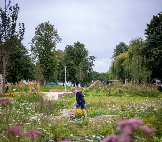 West Gorton Landscape P2000902_N14_large.jpg