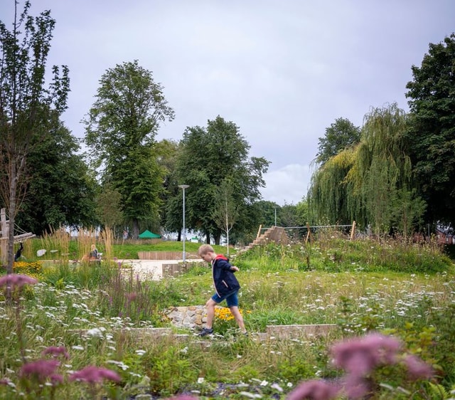 West Gorton Landscape P2000902_N14_large.jpg